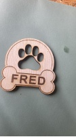 magneet_fred